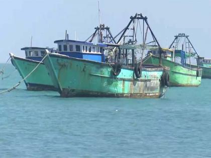 Chinese vessels continue to illegally enter Japan's fishing waters | Chinese vessels continue to illegally enter Japan's fishing waters Chinese vessels continue to illegally enter Japan's fishing waters | Chinese vessels continue to illegally enter Japan's fishing waters