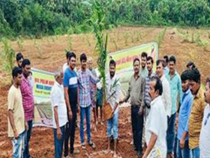 Over 17 lakh oil palm saplings planted in a plantation drive under National Mission for Edible Oils | Over 17 lakh oil palm saplings planted in a plantation drive under National Mission for Edible Oils Over 17 lakh oil palm saplings planted in a plantation drive under National Mission for Edible Oils | Over 17 lakh oil palm saplings planted in a plantation drive under National Mission for Edible Oils
