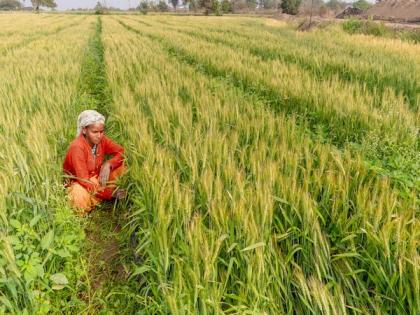 Kharif sowing registers 2.2% increase with planting window about to end | Kharif sowing registers 2.2% increase with planting window about to end Kharif sowing registers 2.2% increase with planting window about to end | Kharif sowing registers 2.2% increase with planting window about to end