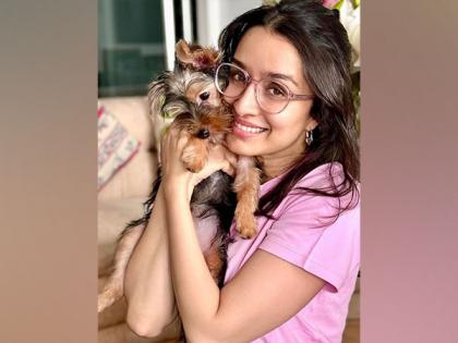 Shraddha Kapoor introduces her Insta fam to "nanhi stree" 'Small' | Shraddha Kapoor introduces her Insta fam to "nanhi stree" 'Small' Shraddha Kapoor introduces her Insta fam to "nanhi stree" 'Small' | Shraddha Kapoor introduces her Insta fam to "nanhi stree" 'Small'