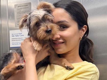 Shraddha Kapoor shares cute picture with her 'little kanchka' on Navaratri | Shraddha Kapoor shares cute picture with her 'little kanchka' on Navaratri Shraddha Kapoor shares cute picture with her 'little kanchka' on Navaratri | Shraddha Kapoor shares cute picture with her 'little kanchka' on Navaratri