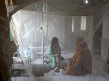 Pakistan: Rawalpindi declares dengue emergency amid alarming rise in cases | Pakistan: Rawalpindi declares dengue emergency amid alarming rise in cases Pakistan: Rawalpindi declares dengue emergency amid alarming rise in cases | Pakistan: Rawalpindi declares dengue emergency amid alarming rise in cases