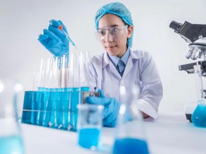 Immune cell discovery provides new opportunity for cancer immunotherapy | Immune cell discovery provides new opportunity for cancer immunotherapy Immune cell discovery provides new opportunity for cancer immunotherapy | Immune cell discovery provides new opportunity for cancer immunotherapy