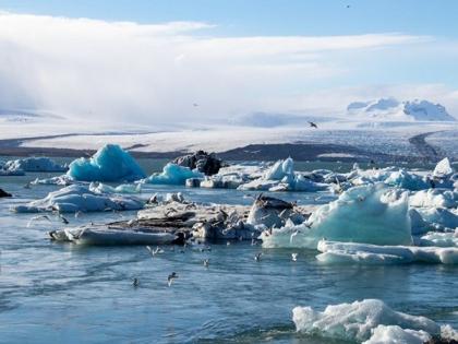 Weather change linked to heightened risk of Salmonella outbreaks: Study | Weather change linked to heightened risk of Salmonella outbreaks: Study Weather change linked to heightened risk of Salmonella outbreaks: Study | Weather change linked to heightened risk of Salmonella outbreaks: Study