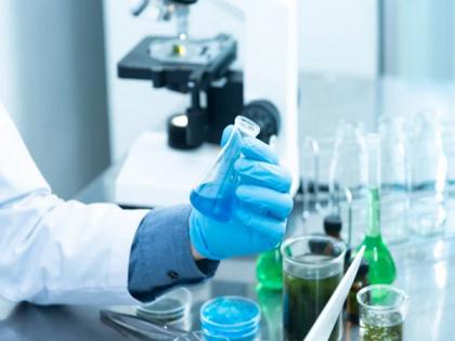 Most engineered human cells created for studying disease | Most engineered human cells created for studying disease Most engineered human cells created for studying disease | Most engineered human cells created for studying disease