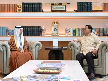 UAE, Indonesia review consolidating cooperation across various fields | UAE, Indonesia review consolidating cooperation across various fields