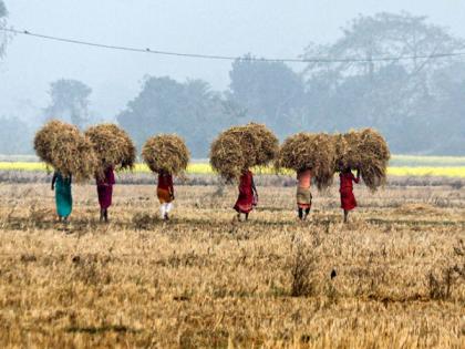 Agri processing industry experts hail Union Budget's push towards Aatma Nirbharta | Agri processing industry experts hail Union Budget's push towards Aatma Nirbharta