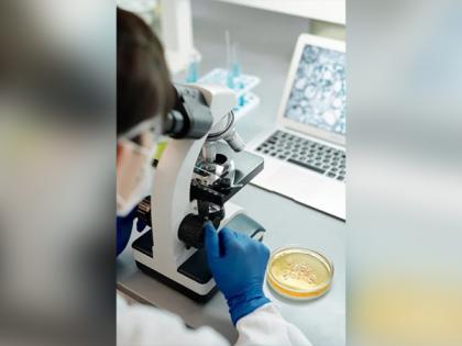 Researchers discover new type of Brain cells that allow you to remember objects | Researchers discover new type of Brain cells that allow you to remember objects Researchers discover new type of Brain cells that allow you to remember objects | Researchers discover new type of Brain cells that allow you to remember objects