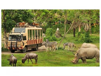 Indonesian Safari Park: An African-Style Safari in Asia - The Ultimate Adventure for Indian Travelers | Indonesian Safari Park: An African-Style Safari in Asia - The Ultimate Adventure for Indian Travelers Indonesian Safari Park: An African-Style Safari in Asia - The Ultimate Adventure for Indian Travelers | Indonesian Safari Park: An African-Style Safari in Asia - The Ultimate Adventure for Indian Travelers