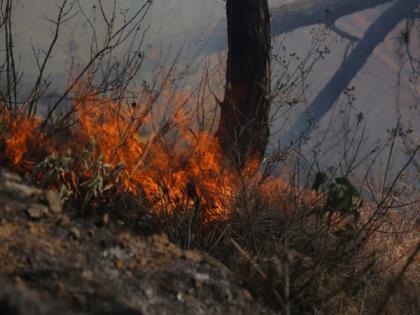 Nepal sticks to traditional measures to control forest fire as threat looms high | Nepal sticks to traditional measures to control forest fire as threat looms high Nepal sticks to traditional measures to control forest fire as threat looms high | Nepal sticks to traditional measures to control forest fire as threat looms high