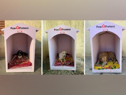 Mars Petcare and Swiggy Instamart Expand Efforts to Provide Winter Shelters for Community Dogs | Mars Petcare and Swiggy Instamart Expand Efforts to Provide Winter Shelters for Community Dogs Mars Petcare and Swiggy Instamart Expand Efforts to Provide Winter Shelters for Community Dogs | Mars Petcare and Swiggy Instamart Expand Efforts to Provide Winter Shelters for Community Dogs