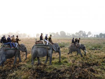 Jaishankar, Heads of Mission and diplomats visit Sarnath archaeological site, Kaziranga National Park | Jaishankar, Heads of Mission and diplomats visit Sarnath archaeological site, Kaziranga National Park Jaishankar, Heads of Mission and diplomats visit Sarnath archaeological site, Kaziranga National Park | Jaishankar, Heads of Mission and diplomats visit Sarnath archaeological site, Kaziranga National Park