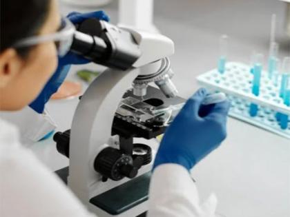 Study finds possible way to heal damaged lungs after premature birth | Study finds possible way to heal damaged lungs after premature birth Study finds possible way to heal damaged lungs after premature birth | Study finds possible way to heal damaged lungs after premature birth