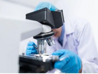Study finds designing self-destructing bacteria make effective tuberculosis vaccines | Study finds designing self-destructing bacteria make effective tuberculosis vaccines