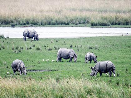 Nepal's Rhino census becomes uncertain with suspension of USAID | Nepal's Rhino census becomes uncertain with suspension of USAID