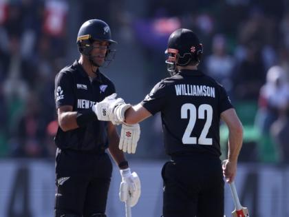 NZ coach Stead hails Rachin, Kane Williamson ahead of Champions Trophy final against India | NZ coach Stead hails Rachin, Kane Williamson ahead of Champions Trophy final against India