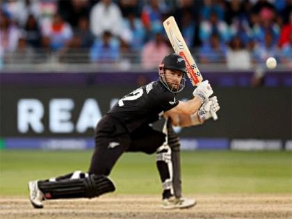 CT 2025: Will Williamson play a knock suiting his class and reputation during title clash against India? | CT 2025: Will Williamson play a knock suiting his class and reputation during title clash against India?