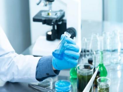 Researchers create gel that can self-heal like human skin: Study | Researchers create gel that can self-heal like human skin: Study Researchers create gel that can self-heal like human skin: Study | Researchers create gel that can self-heal like human skin: Study