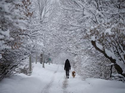 US crackdown on illegal immigration to impact many Canadian snowbirds: Report | US crackdown on illegal immigration to impact many Canadian snowbirds: Report US crackdown on illegal immigration to impact many Canadian snowbirds: Report | US crackdown on illegal immigration to impact many Canadian snowbirds: Report