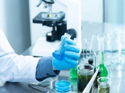 Study reveals possible new cause of stomach cancer | Study reveals possible new cause of stomach cancer Study reveals possible new cause of stomach cancer | Study reveals possible new cause of stomach cancer