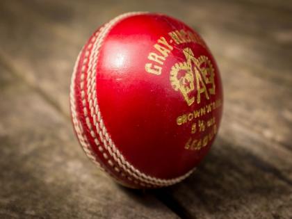 IPL 2025: RCB coach Andy, KKR spinner Varun speak on saliva ban, second ball rule | IPL 2025: RCB coach Andy, KKR spinner Varun speak on saliva ban, second ball rule