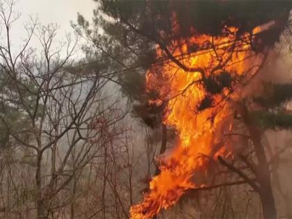 Korea battles multiple wildfires in southeastern region | Korea battles multiple wildfires in southeastern region Korea battles multiple wildfires in southeastern region | Korea battles multiple wildfires in southeastern region