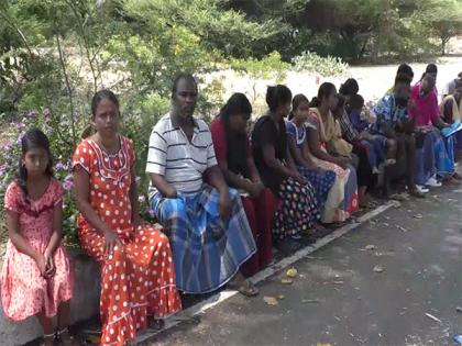 Sri Lankan Tamil refugees in Rameswaram urge Centre, TN govt to facilitate their return | Sri Lankan Tamil refugees in Rameswaram urge Centre, TN govt to facilitate their return Sri Lankan Tamil refugees in Rameswaram urge Centre, TN govt to facilitate their return | Sri Lankan Tamil refugees in Rameswaram urge Centre, TN govt to facilitate their return