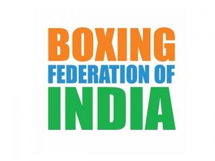 Young Indian pugilists to represent country in World Boxing Cup Brazil 2025 | Young Indian pugilists to represent country in World Boxing Cup Brazil 2025 Young Indian pugilists to represent country in World Boxing Cup Brazil 2025 | Young Indian pugilists to represent country in World Boxing Cup Brazil 2025
