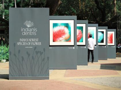 A Blooming Surprise: Colgate India's New Campaign Turns Discovery Into Realisation | A Blooming Surprise: Colgate India's New Campaign Turns Discovery Into Realisation A Blooming Surprise: Colgate India's New Campaign Turns Discovery Into Realisation | A Blooming Surprise: Colgate India's New Campaign Turns Discovery Into Realisation