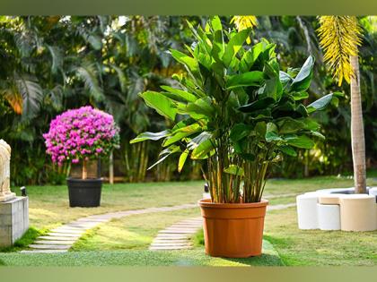 Harshdeep Hortico Ltd Secures Major Orders Worth INR 1.39 Crore from L&T and Adani Group for Navi Mumbai International Airport | Harshdeep Hortico Ltd Secures Major Orders Worth INR 1.39 Crore from L&T and Adani Group for Navi Mumbai International Airport Harshdeep Hortico Ltd Secures Major Orders Worth INR 1.39 Crore from L&T and Adani Group for Navi Mumbai International Airport | Harshdeep Hortico Ltd Secures Major Orders Worth INR 1.39 Crore from L&T and Adani Group for Navi Mumbai International Airport