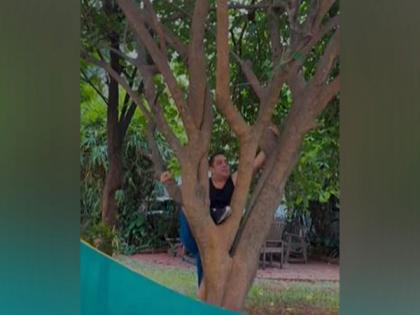 Salman Khan effortlessly climbs tree, shuts down trolls for questioning his fitness | Salman Khan effortlessly climbs tree, shuts down trolls for questioning his fitness Salman Khan effortlessly climbs tree, shuts down trolls for questioning his fitness | Salman Khan effortlessly climbs tree, shuts down trolls for questioning his fitness