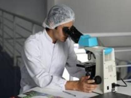 Researchers from United Arab Emirates University develop technology for non-surgical blood flow monitoring | Researchers from United Arab Emirates University develop technology for non-surgical blood flow monitoring Researchers from United Arab Emirates University develop technology for non-surgical blood flow monitoring | Researchers from United Arab Emirates University develop technology for non-surgical blood flow monitoring