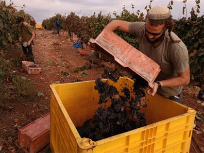 Israel launches USD 1.4B national food security strategy for 2050 amid growing threats | Israel launches USD 1.4B national food security strategy for 2050 amid growing threats Israel launches USD 1.4B national food security strategy for 2050 amid growing threats | Israel launches USD 1.4B national food security strategy for 2050 amid growing threats