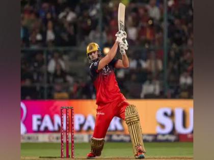 Tim David joins RCB squad ahead of IPL 2025 resumption | Tim David joins RCB squad ahead of IPL 2025 resumption