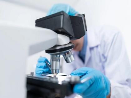 Study reveals impact of oft-overlooked cell in brain function | Study reveals impact of oft-overlooked cell in brain function Study reveals impact of oft-overlooked cell in brain function | Study reveals impact of oft-overlooked cell in brain function