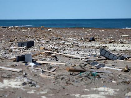 EU-India to jointly find solutions to marine pollution, waste to green hydrogen | EU-India to jointly find solutions to marine pollution, waste to green hydrogen EU-India to jointly find solutions to marine pollution, waste to green hydrogen | EU-India to jointly find solutions to marine pollution, waste to green hydrogen