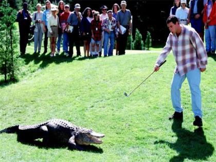 Adam Sandler mourns death of 'Happy Gilmore' alligator co-star | Adam Sandler mourns death of 'Happy Gilmore' alligator co-star Adam Sandler mourns death of 'Happy Gilmore' alligator co-star | Adam Sandler mourns death of 'Happy Gilmore' alligator co-star