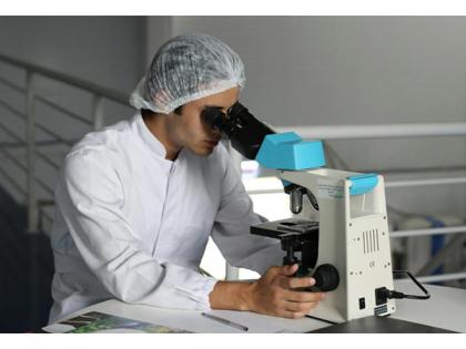Ageing reduces CAR-T cell effectiveness by impairing metabolism, study shows | Ageing reduces CAR-T cell effectiveness by impairing metabolism, study shows Ageing reduces CAR-T cell effectiveness by impairing metabolism, study shows | Ageing reduces CAR-T cell effectiveness by impairing metabolism, study shows