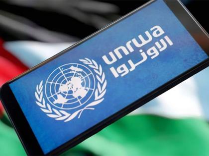 UNRWA: Aid going into Gaza now needle in haystack | UNRWA: Aid going into Gaza now needle in haystack UNRWA: Aid going into Gaza now needle in haystack | UNRWA: Aid going into Gaza now needle in haystack
