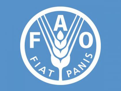 Tackling water scarcity requires speed, scale, determination, FAO says | Tackling water scarcity requires speed, scale, determination, FAO says Tackling water scarcity requires speed, scale, determination, FAO says | Tackling water scarcity requires speed, scale, determination, FAO says
