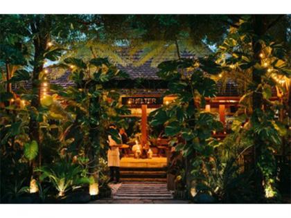 Shelter Pererenan Honored with Prestige Gourmet Gold Award 2025 | Shelter Pererenan Honored with Prestige Gourmet Gold Award 2025 Shelter Pererenan Honored with Prestige Gourmet Gold Award 2025 | Shelter Pererenan Honored with Prestige Gourmet Gold Award 2025