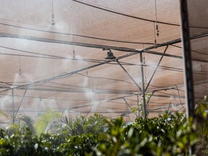 Ahmedabad airport uses smart tech to save water | Ahmedabad airport uses smart tech to save water