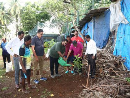 Mumbai Cricket Association organises tree plantation drive at cross maidan on World Environment Day | Mumbai Cricket Association organises tree plantation drive at cross maidan on World Environment Day