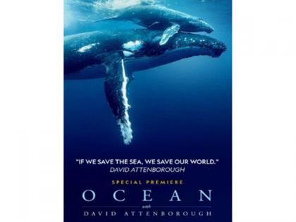 'Ocean With David Attenborough' to be out on this date, see details | 'Ocean With David Attenborough' to be out on this date, see details 'Ocean With David Attenborough' to be out on this date, see details | 'Ocean With David Attenborough' to be out on this date, see details