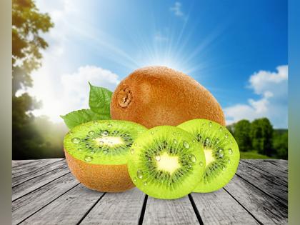 Frutas de Chile Launches a Health Focused Campaign in India to Promote Kiwifruit from Chile | Frutas de Chile Launches a Health Focused Campaign in India to Promote Kiwifruit from Chile Frutas de Chile Launches a Health Focused Campaign in India to Promote Kiwifruit from Chile | Frutas de Chile Launches a Health Focused Campaign in India to Promote Kiwifruit from Chile