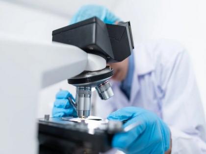 New method guides magnetism without magnets: Study | New method guides magnetism without magnets: Study New method guides magnetism without magnets: Study | New method guides magnetism without magnets: Study