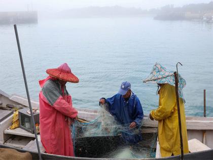 Amid national security concerns, Taiwan to remove illegal Chinese oyster racks from its territorial waters | Amid national security concerns, Taiwan to remove illegal Chinese oyster racks from its territorial waters Amid national security concerns, Taiwan to remove illegal Chinese oyster racks from its territorial waters | Amid national security concerns, Taiwan to remove illegal Chinese oyster racks from its territorial waters