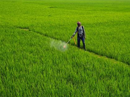 India's agrochemical exports set for moderate rebound in FY25: Rubix report | India's agrochemical exports set for moderate rebound in FY25: Rubix report India's agrochemical exports set for moderate rebound in FY25: Rubix report | India's agrochemical exports set for moderate rebound in FY25: Rubix report