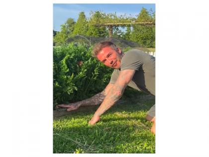 David Beckham shows off his gardening skills, leaves wife Victoria in splits | David Beckham shows off his gardening skills, leaves wife Victoria in splits