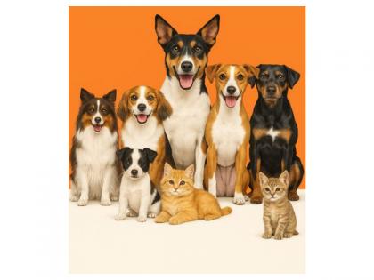Universal Sompo Extends Insurance Coverage to Pets | Universal Sompo Extends Insurance Coverage to Pets Universal Sompo Extends Insurance Coverage to Pets | Universal Sompo Extends Insurance Coverage to Pets